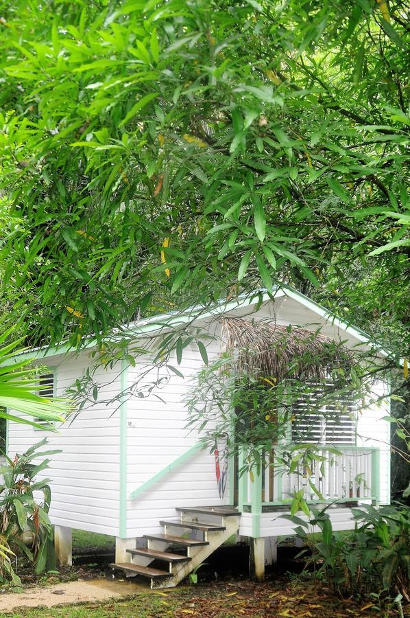 Hickatee Cottages, Belize, Central America Пунта-Горда Экстерьер фото