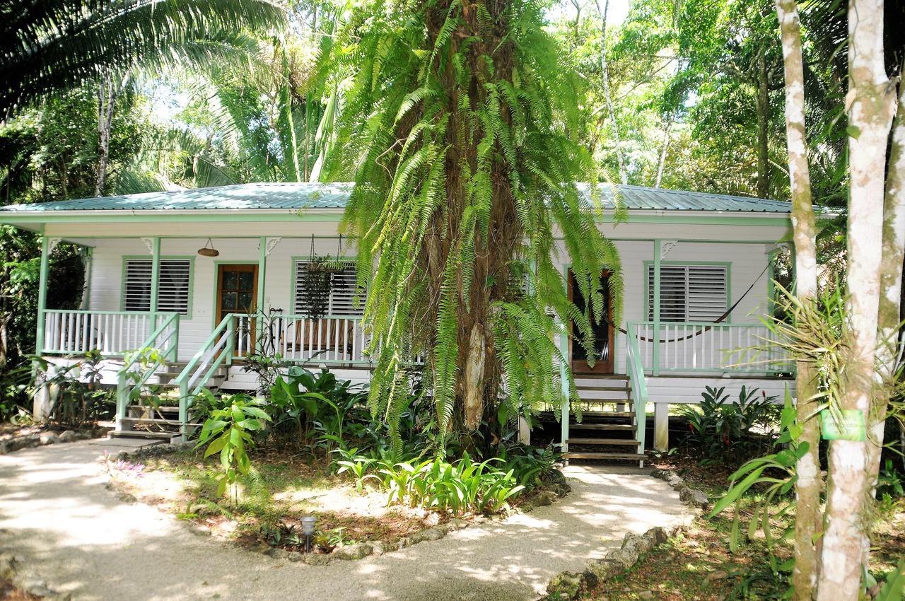Hickatee Cottages, Belize, Central America Пунта-Горда Экстерьер фото
