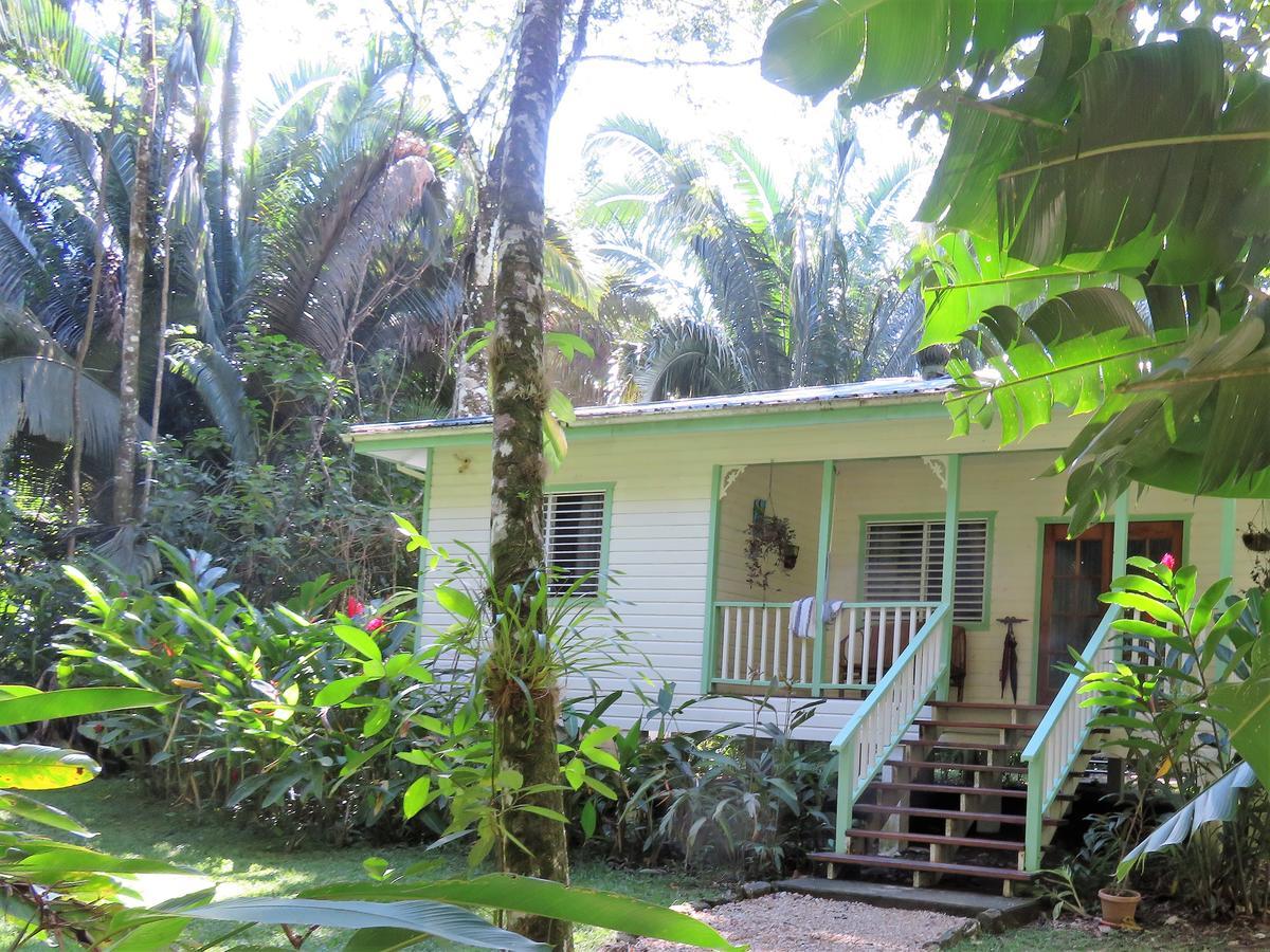 Hickatee Cottages, Belize, Central America Пунта-Горда Экстерьер фото